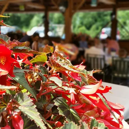 Szálloda Hotel-restaurant Fischerwirt Gratwein