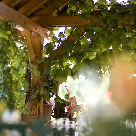 Szálloda Hotel-restaurant Fischerwirt Gratwein