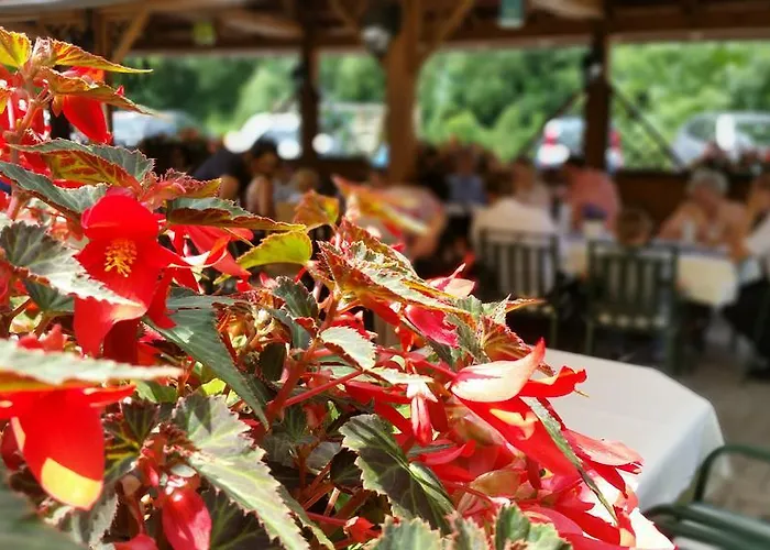 Hotel Hotel-restaurant Fischerwirt Gratwein