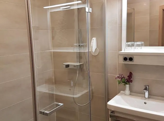 Hotel-restaurant Fischerwirt 3*